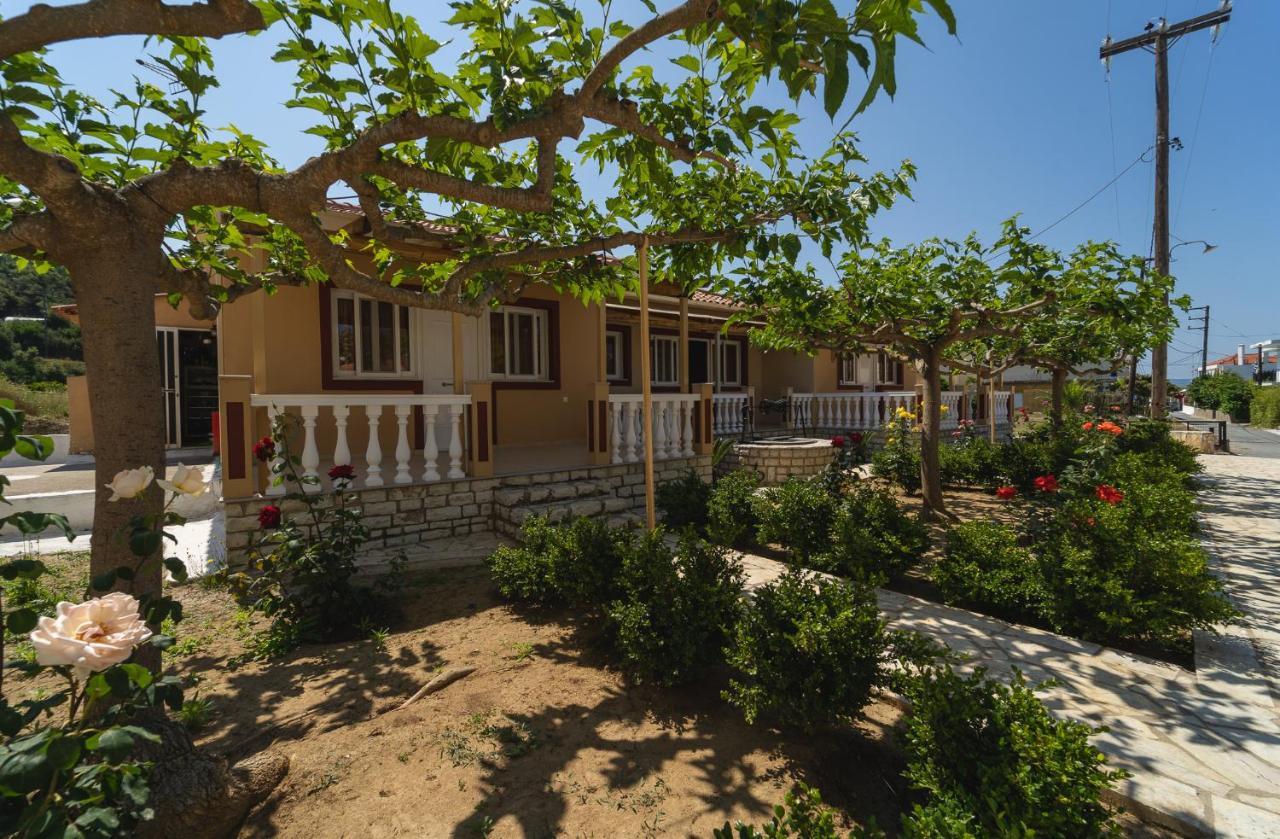 Anemi Finikounta